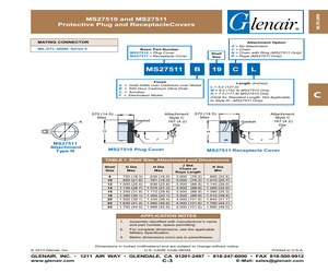 MS27510A10C.pdf