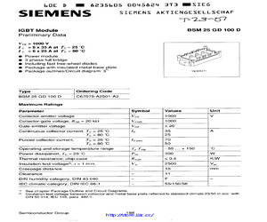 BSM25GD100D.pdf