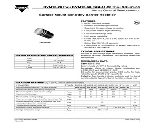 BYM13-20-E3/61T.pdf