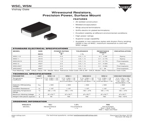 WSC-11.02KOHM1.0%R86.pdf