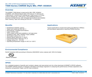 T409A104J050AK42507280.pdf