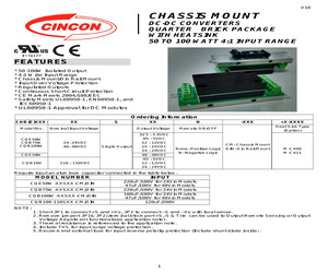 CQB100-110S24.pdf