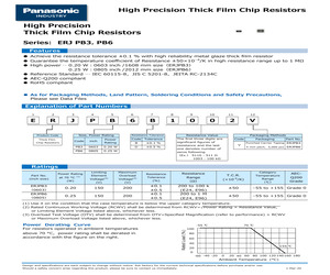 ERJPB3B6981V.pdf