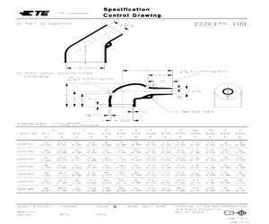 222K163-100-0.pdf