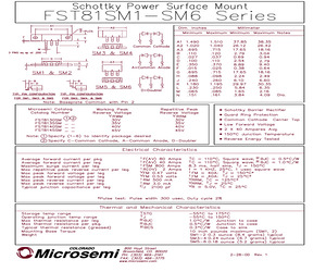 FST8130SM4A.pdf