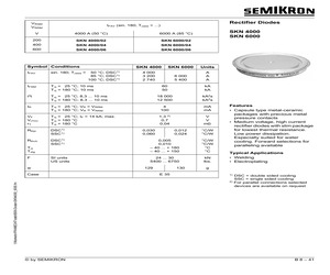 SKN6000.pdf