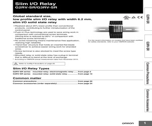 G2RV-SR700 DC12.pdf