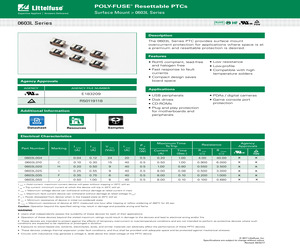 0603L300/9SLYR.pdf