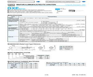 GXE100VB10M.pdf