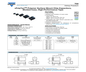 T55B106M025C0100.pdf