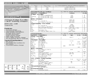 SKDH116/12-L100.pdf