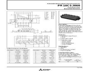 PM10CSJ060.pdf