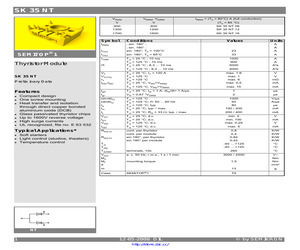 SK35NT16.pdf