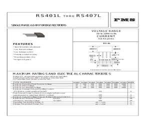 RS401L.pdf