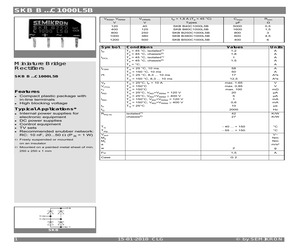 SKBB500C1000L5B.pdf