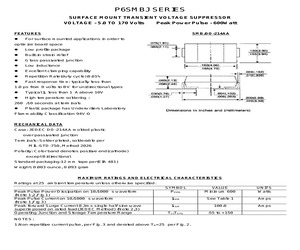 P6SMBJ100A.pdf