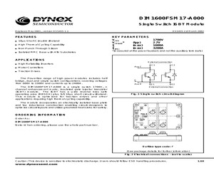 DIM1600FSM17-A000.pdf