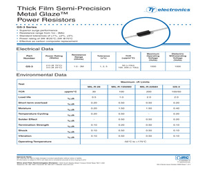 GS-31004640FLFSLT.pdf