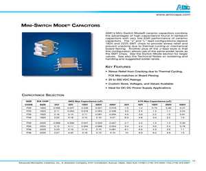 101P29W155JL4U.pdf