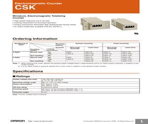 CSKE-7RL AC100.pdf