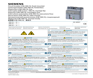 3WL1006-1.C03-.....pdf