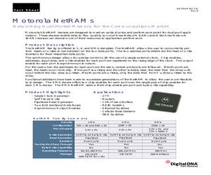 MOTOROLA-NETRAM.pdf