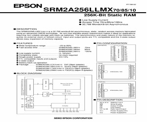 SRM2A256LLRMX85.pdf