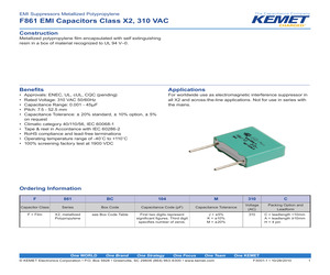 F861FB105J310ALF0J.pdf