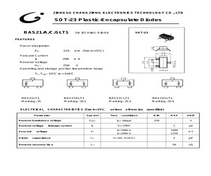 BAS21CLT1.pdf