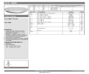 SKN4000/04.pdf