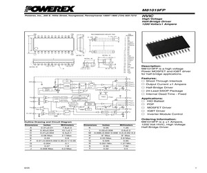 M81019FP.pdf