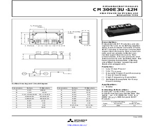 CM300E3U-24E.pdf