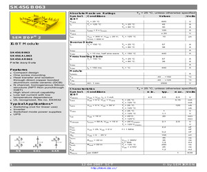 SK45GAR063.pdf