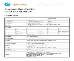 65405CY SL005.pdf