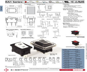 RA11331100.pdf