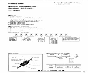 ERNSBRD324X.pdf