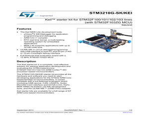 STM3210G-SK/KEI.pdf