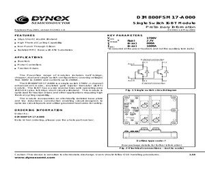 DIM800FSM17-A000.pdf