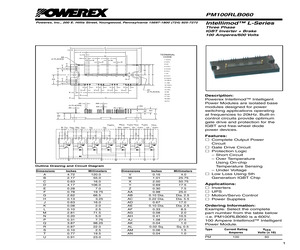 PM100RLB060.pdf