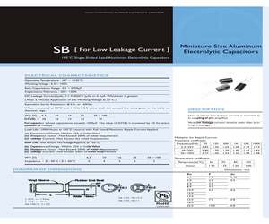 SB100M0R10APFM511.pdf