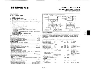 BRT13H-X001.pdf