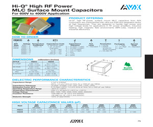 HQCEJA110GAJ1A.pdf