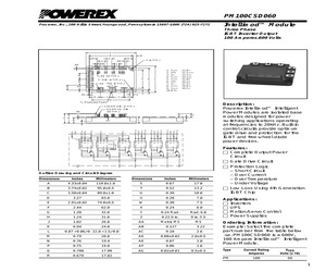 PM100CSD060.pdf