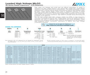 SV07AC203JAA.pdf