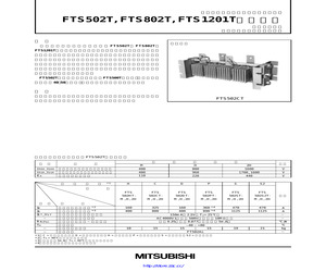 FTS502ST.pdf