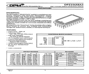 DPZ256X8A3-17I.pdf