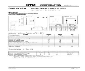 GSBAV99W.pdf