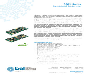 SQ24T10050-PAA0.pdf