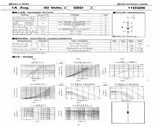 11DQ06TA2B2.pdf