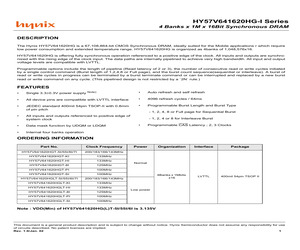 HY57V641620HGT(P)-5(I).pdf